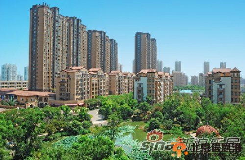實景圖