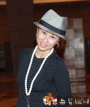 曝林子祥葉倩文離婚原因 曾婚外情老公林子祥個人資料揭秘