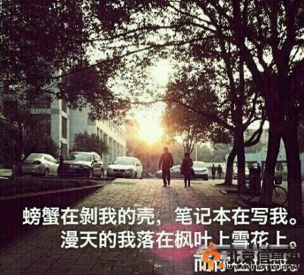 “武大三行情書”網(wǎng)絡(luò)走紅 網(wǎng)友爭相模仿(圖)