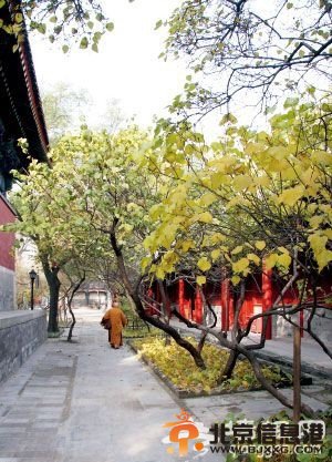 北京秘境的那些隱秘事[墻根網(wǎng)]