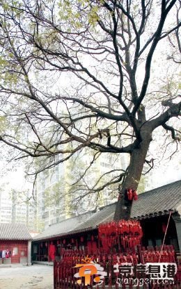 北京秘境的那些隱秘事[墻根網(wǎng)]
