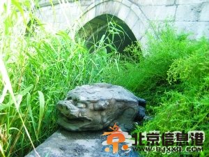 <a href='http://www.se0552.com/beijing/gushi/' target='_blank'><u>故事</u></a>九城:朝宗橋的嵌石和鎮水獸[墻根網]