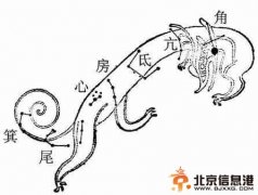 老北京龍抬頭食俗