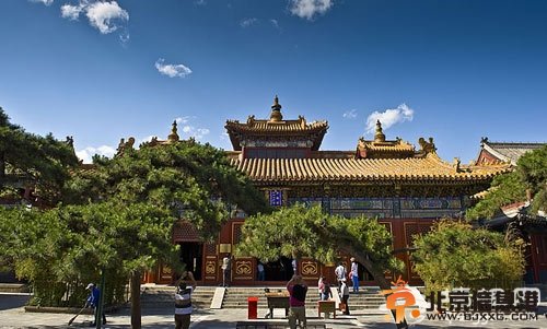 北京故事：雍和宮內(nèi)“大黑熊”的故事
