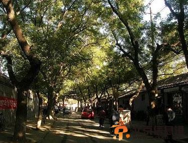 北京十大胡同：煙袋斜街[墻根網]