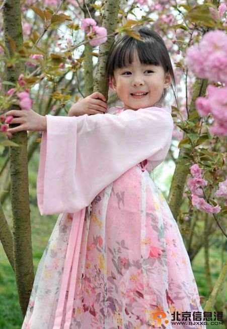 櫻花小蘿莉漢服萌照走紅 網友稱其漢服女神