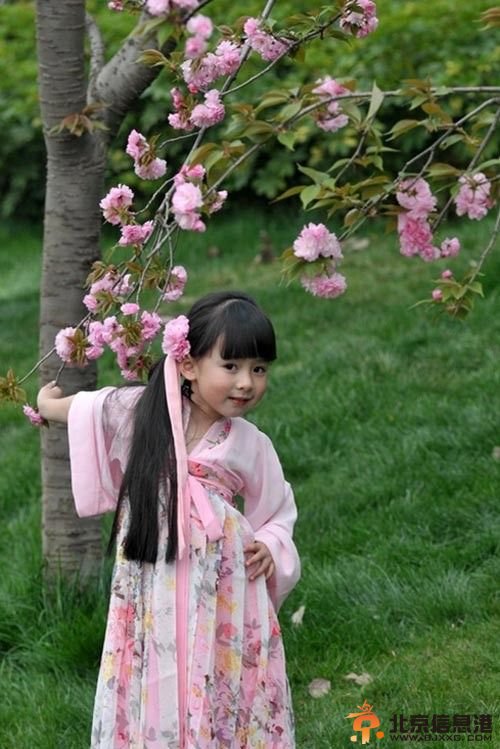 櫻花小蘿莉漢服萌照走紅 網友稱其漢服女神