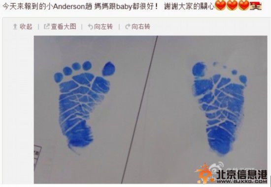 梁靜茹產子吳佩慈生女大S待產 今年要當媽的女星