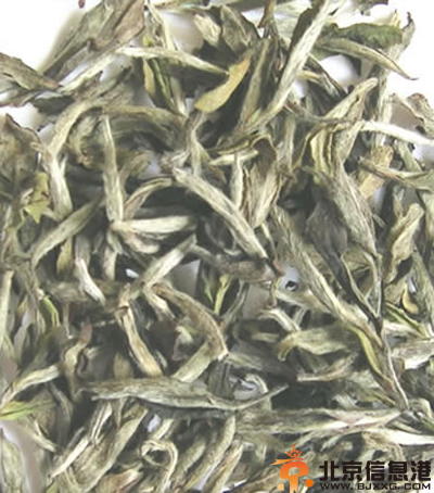 盤點白茶的功效與作用 讓你<a href='http://www.se0552.com/health/' target='_blank'><u>健康</u></a>又長壽