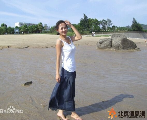 歷史轉折中的鄧小平劇情介紹