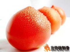 西紅柿怎么保存時(shí)間比較長 學(xué)習(xí)西紅柿保存方法