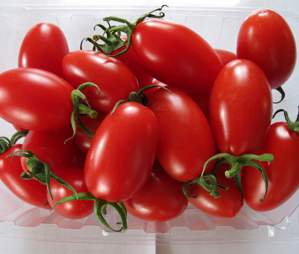 挑選新鮮蔬菜的方法 煮婦煮夫的家庭必修課