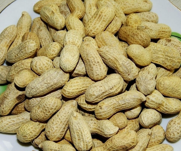 助孕的食物有哪些 育齡女性的養生必備之物