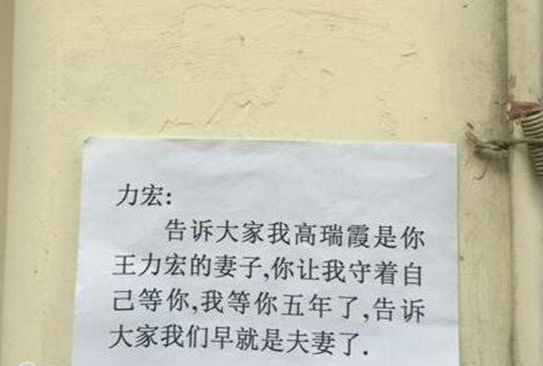 王力宏商演遭襲被砸視頻 扔瓶子者高瑞霞是誰個人資料微博（2）