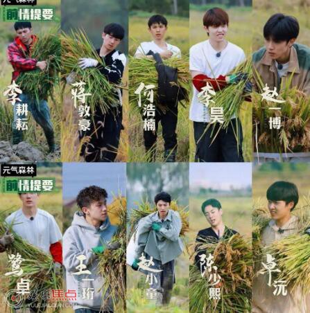 再就業男團種地吧第幾期