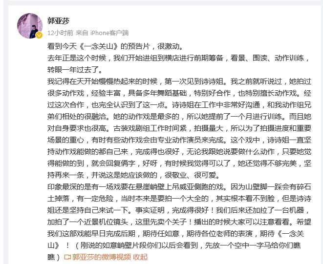《一念關山》動作導演回應劉詩詩替身爭議  夸劉詩詩敬業