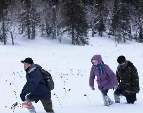 燃冬根據什么小說改編