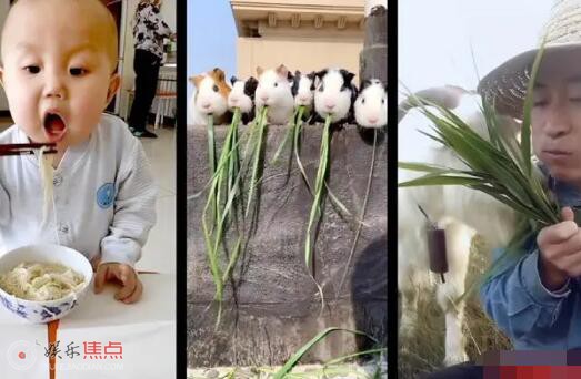 電影煙火人間定檔1月13日
